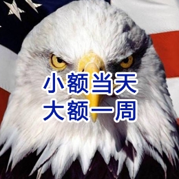 杨市办事处要账公司